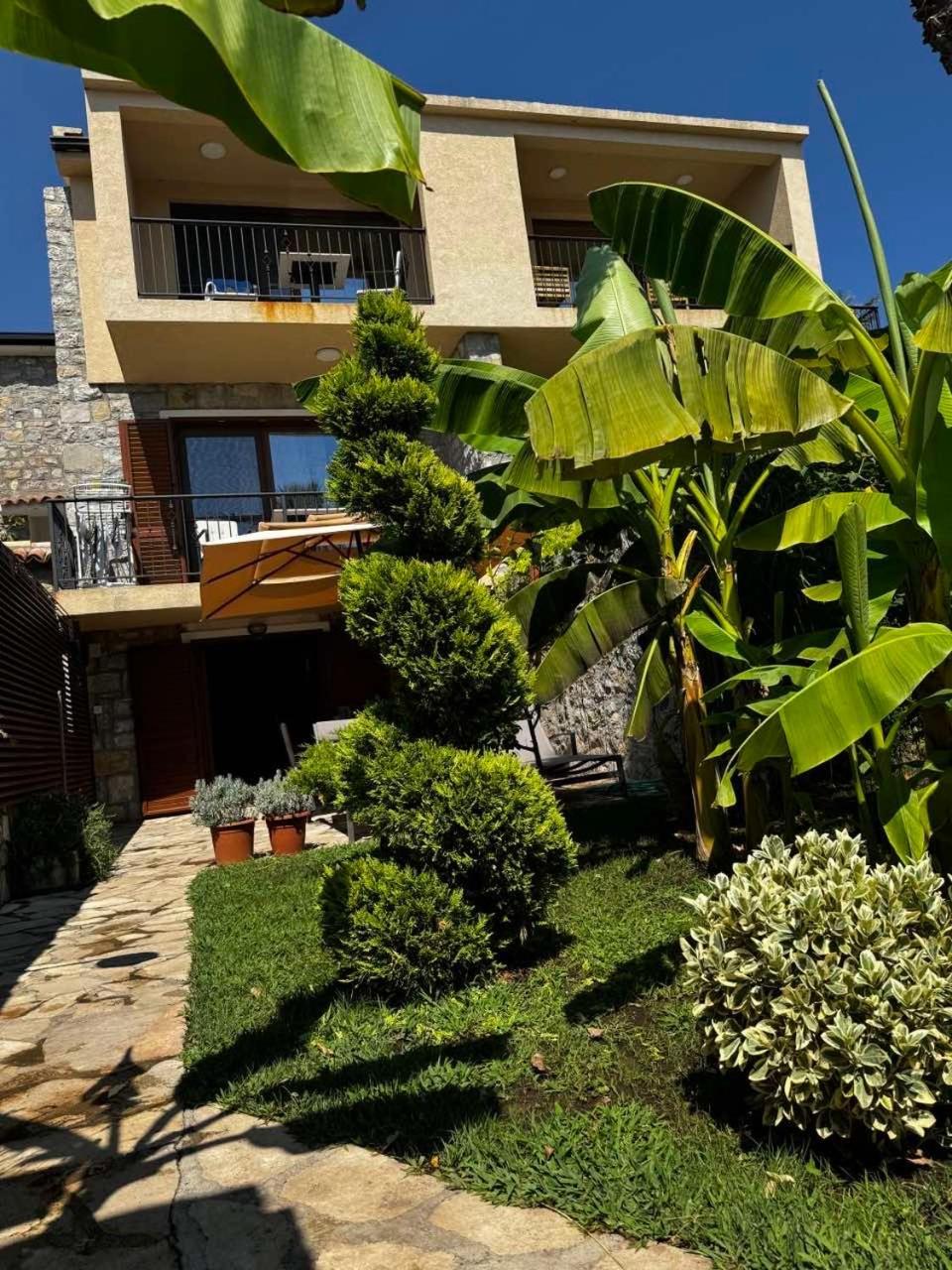 Reina Apartman Petrovac Kültér fotó